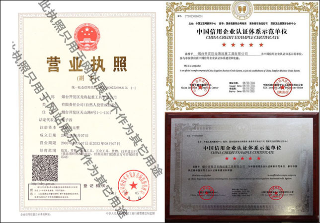 龍海起重企業介紹及資質證明
